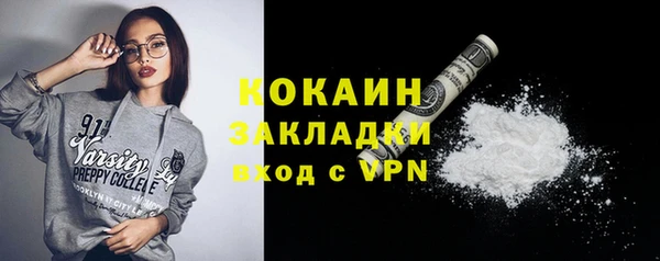 дживик Алексин