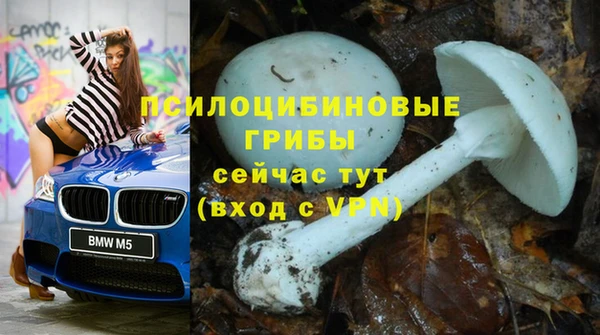 амф Россошь