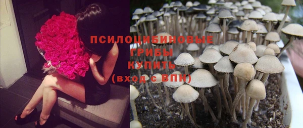 дживик Алексин