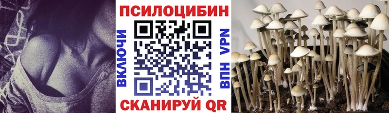 мориарти телеграм Заинск Псилоцибиновые грибы ЛСД
