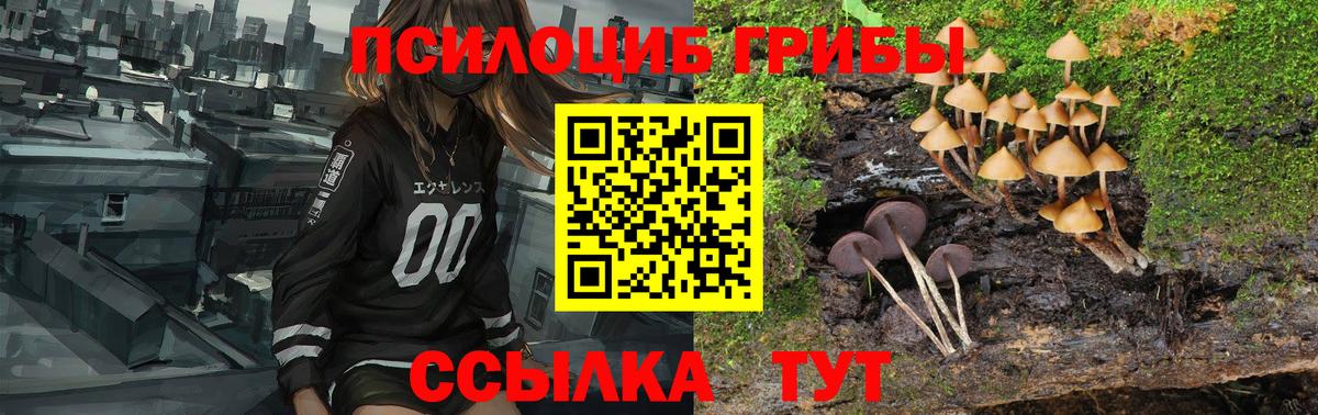 Псилоцибиновые грибы Cubensis  Вход с VPN  Заинск  Галлюциногенные грибы Psilocybe 